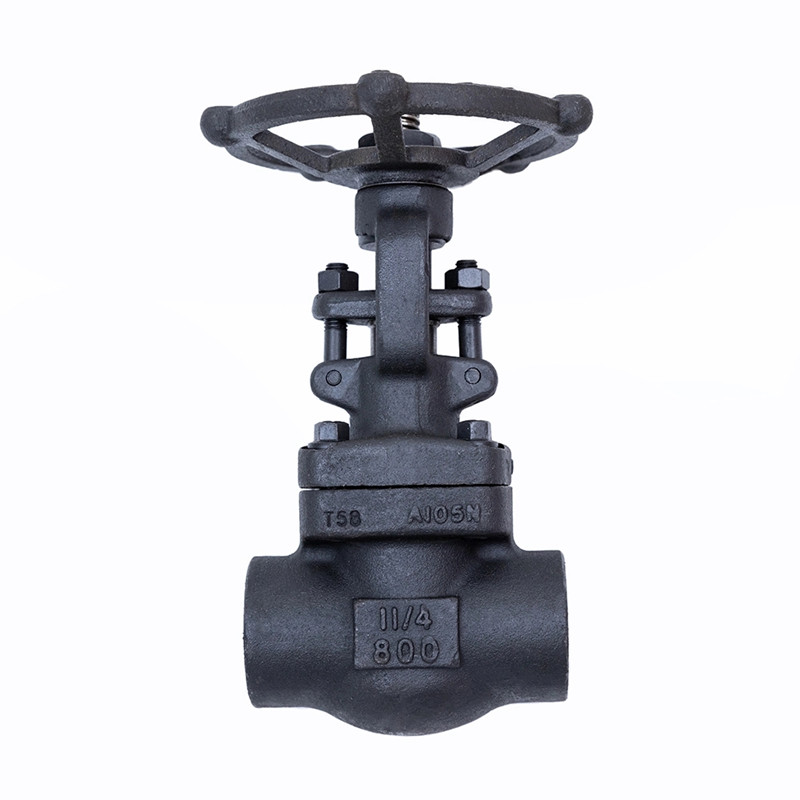 Válvula de gaveta forjada 800LBS