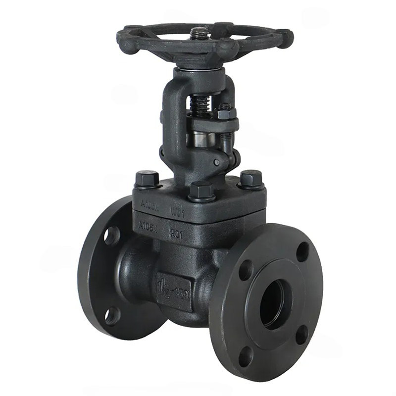 Válvula de flange de aço forjado integrado
