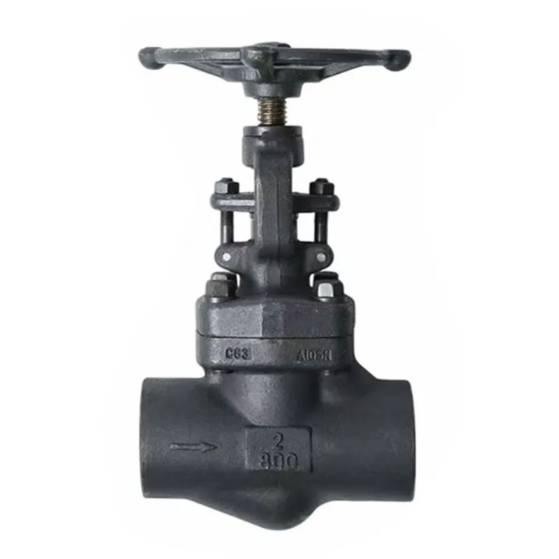 API 602 Endseded forged Globe Valve Class 800